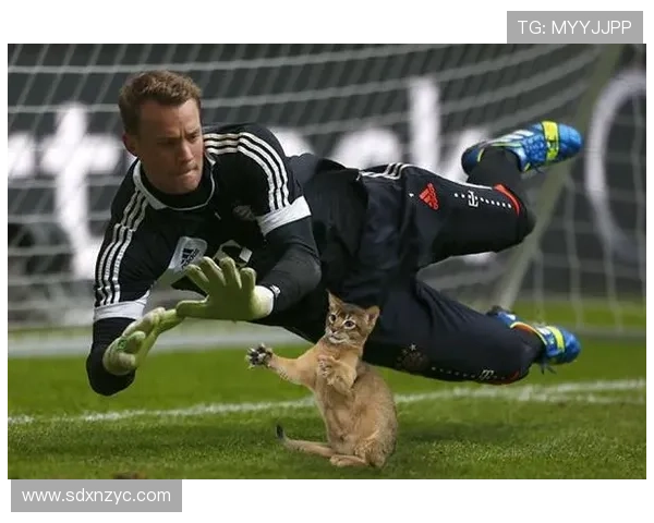 当足球明星与可爱猫咪的奇妙邂逅带来的温馨与欢乐